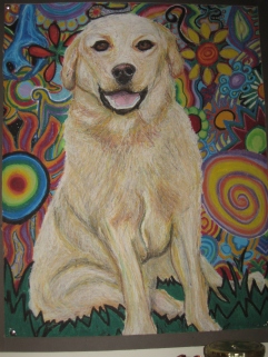 Yellow Dog in La La Land, Oil Pastel (20x24")